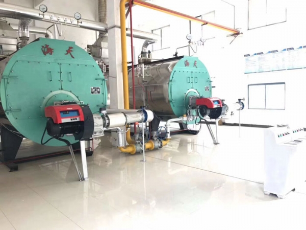 派諾尼奧低氮燃燒器